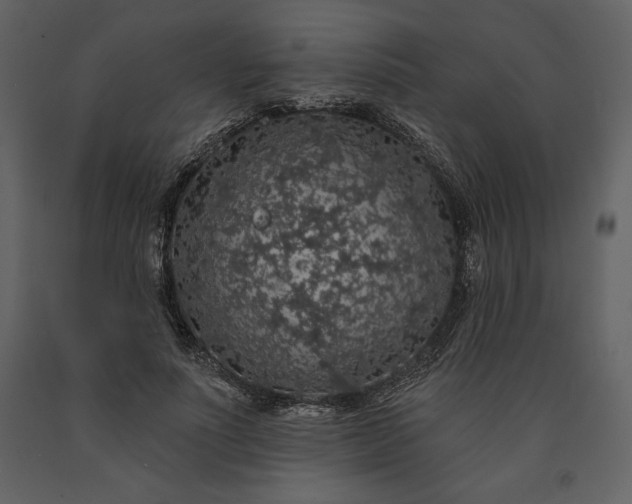 X0000091210691200708231608