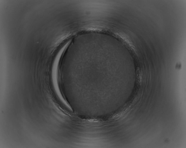 X0000091210692200708231608