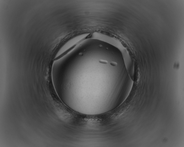 X0000091210693200708231608