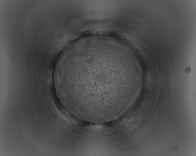 X0000091210695200708231608