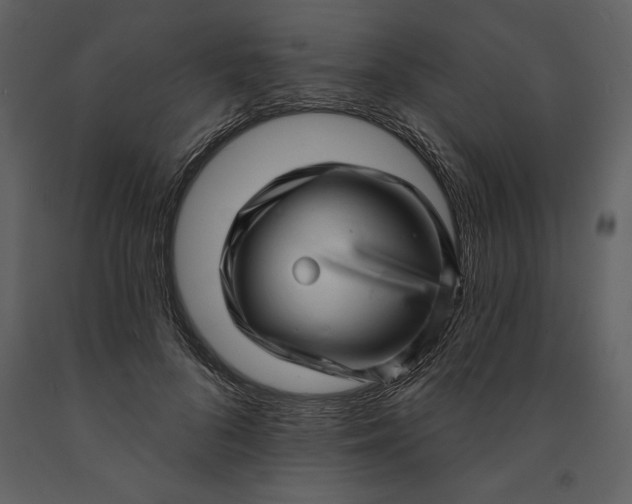 X0000091210696200708231608