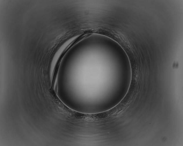 X0000091210697200708231608