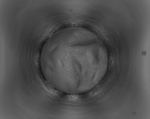 X0000091210698200708231608