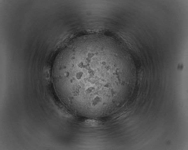 X0000091210699200708231608