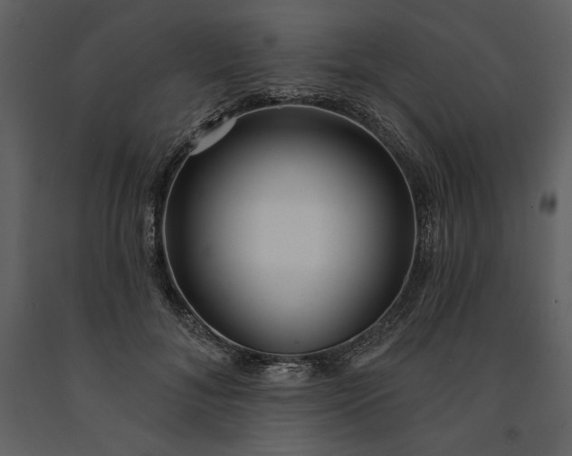 X0000091210700200708231608