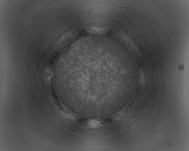 X0000091210701200708231608