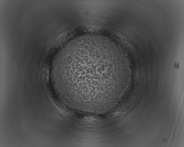 X0000091210703200708231608