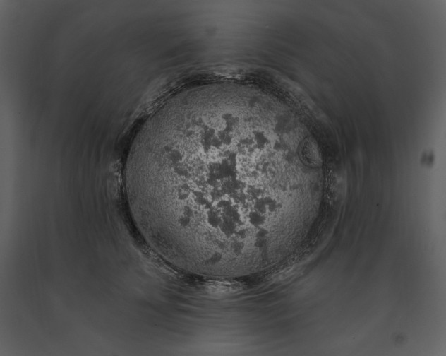 X0000091210707200708231607