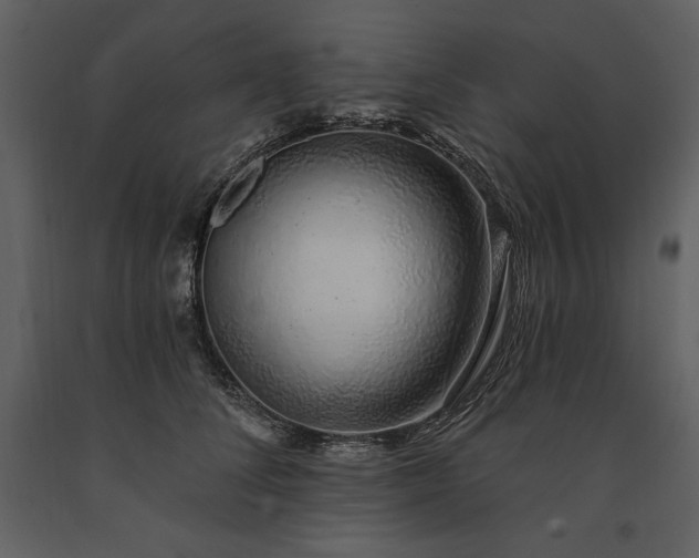 X0000091210708200708231607