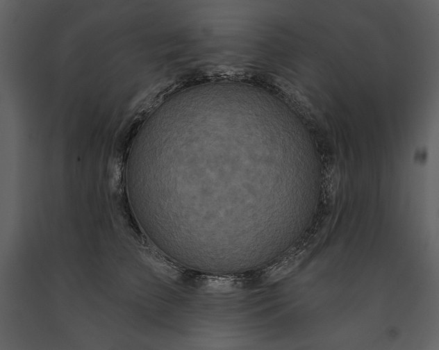 X0000091210709200708231607