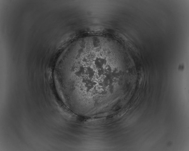 X0000091210711200708231607
