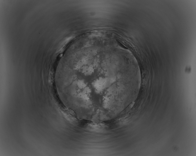 X0000091210712200708231607