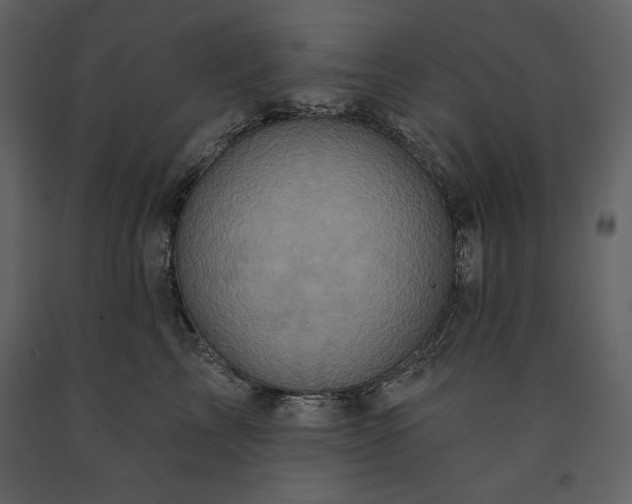 X0000091210713200708231607