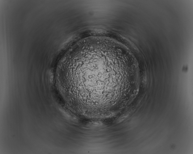 X0000091210715200708231607
