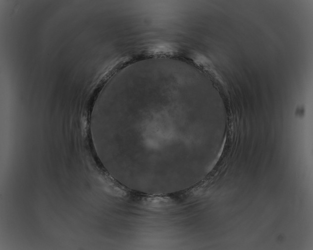 X0000091210716200708231607