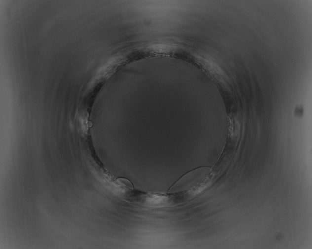 X0000091210718200708231607