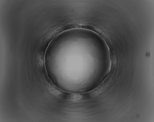 X0000091210719200708231607