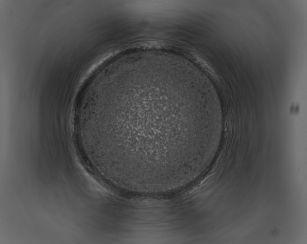 X0000091210722200708231606