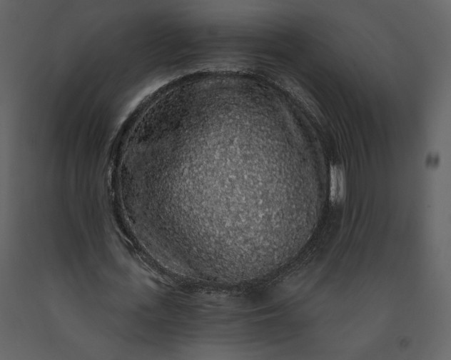 X0000091210723200708231606