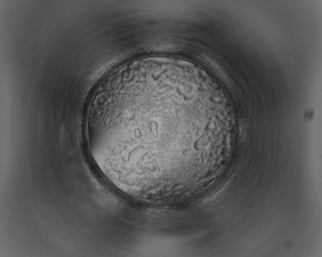 X0000091210725200708231606
