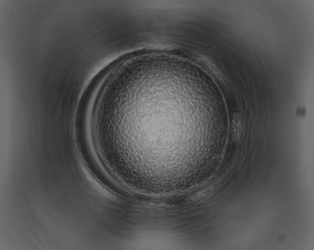 X0000091210726200708231607