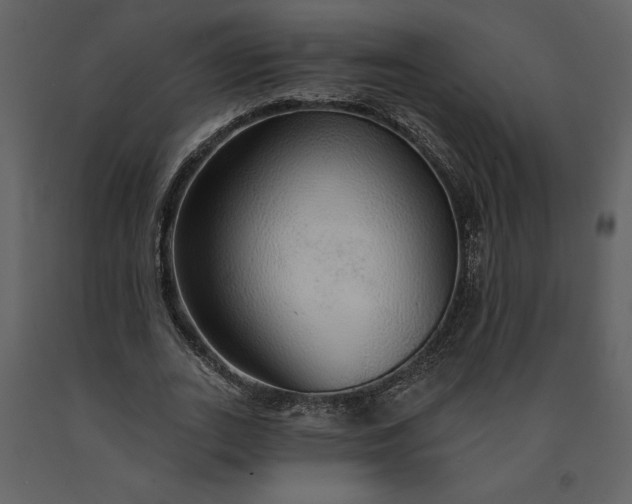 X0000091210727200708231607