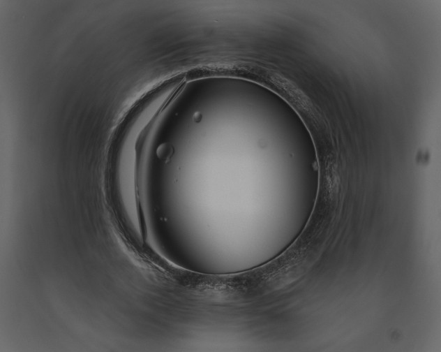 X0000091210728200708231607