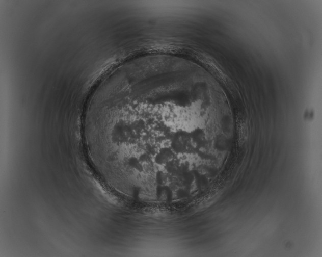 X0000091210729200708231607