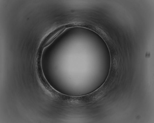 X0000091210730200708231607
