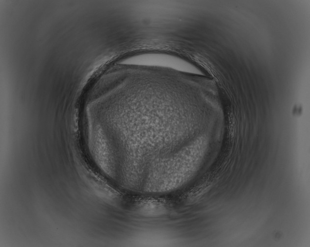 X0000091210731200708231607