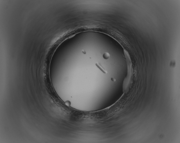 X0000091210732200708231607