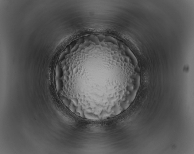 X0000091210733200708231607