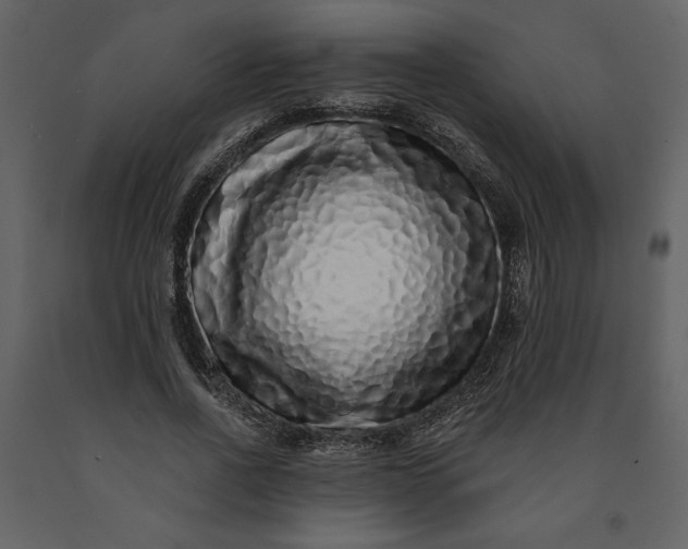 X0000091210734200708231607