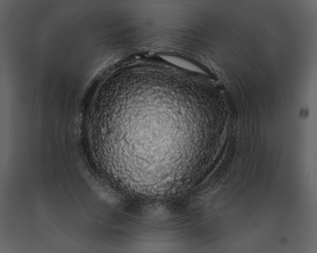 X0000091210735200708231607
