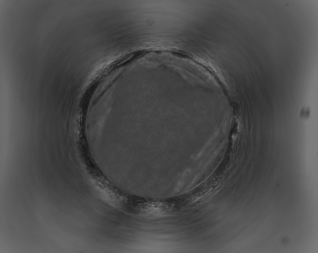 X0000091210736200708231607