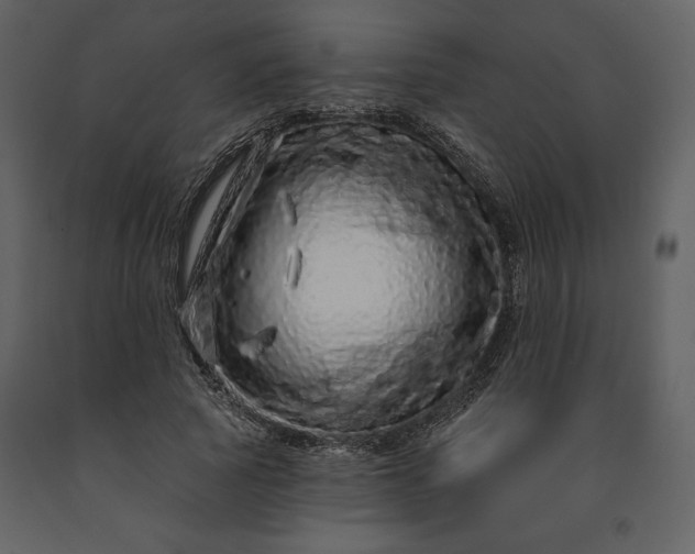 X0000091210737200708231607