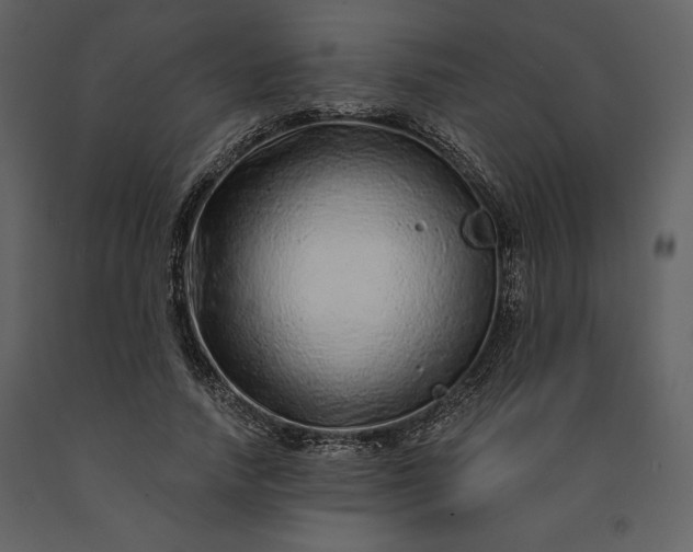 X0000091210738200708231607