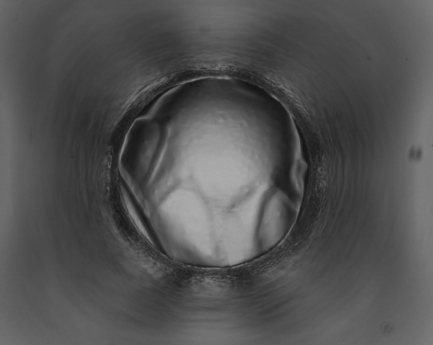 X0000091210739200708231607