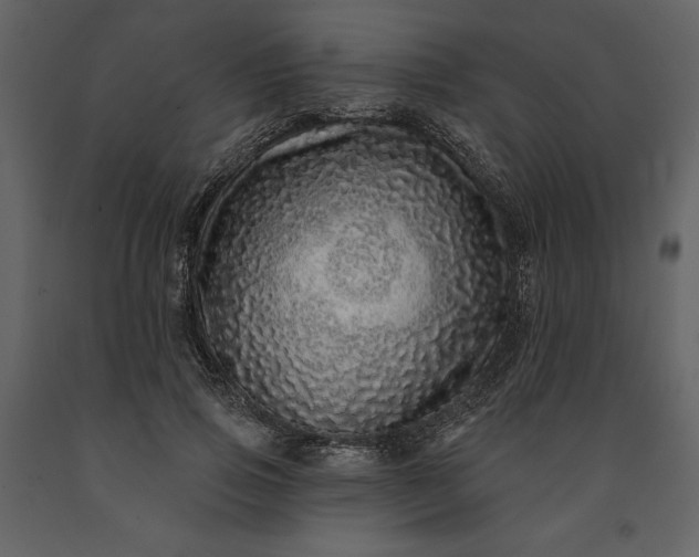 X0000091210741200708231607