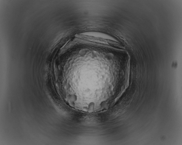 X0000091210742200708231607