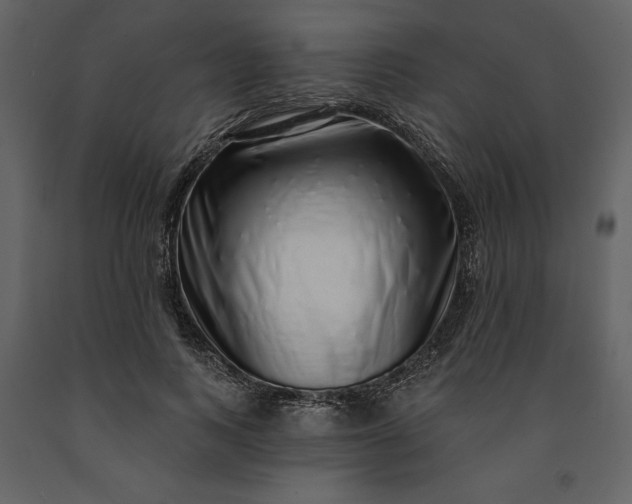 X0000091210743200708231607
