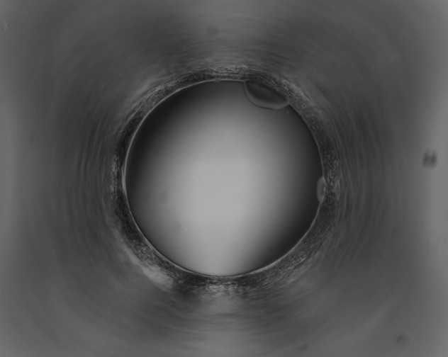 X0000091210744200708231607