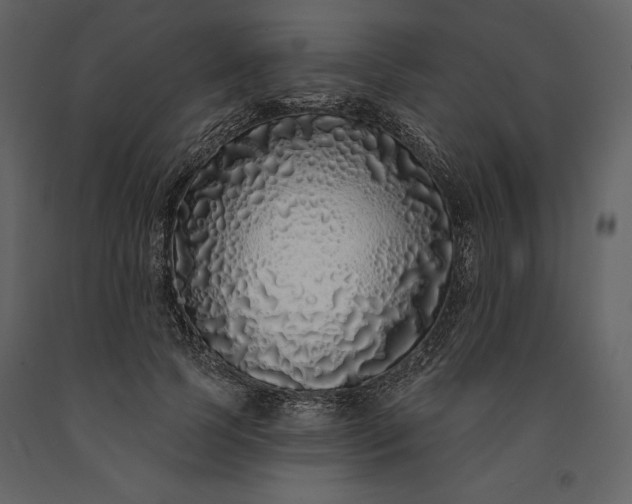 X0000091210745200708231607
