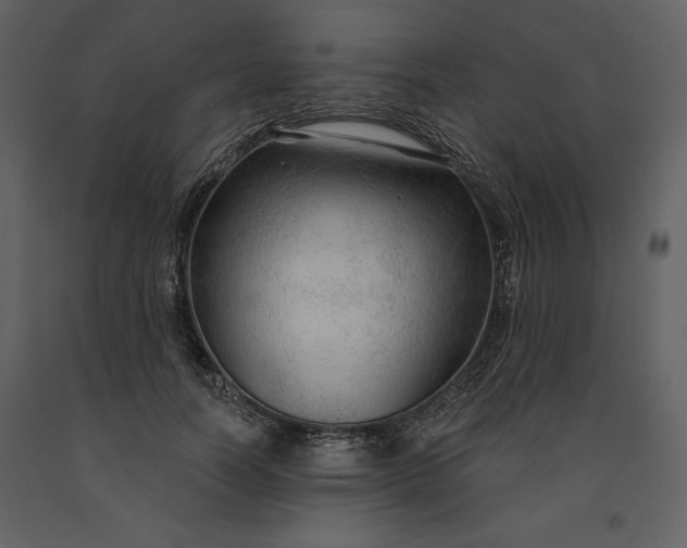 X0000091210746200708231607