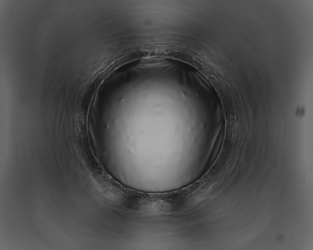 X0000091210747200708231607