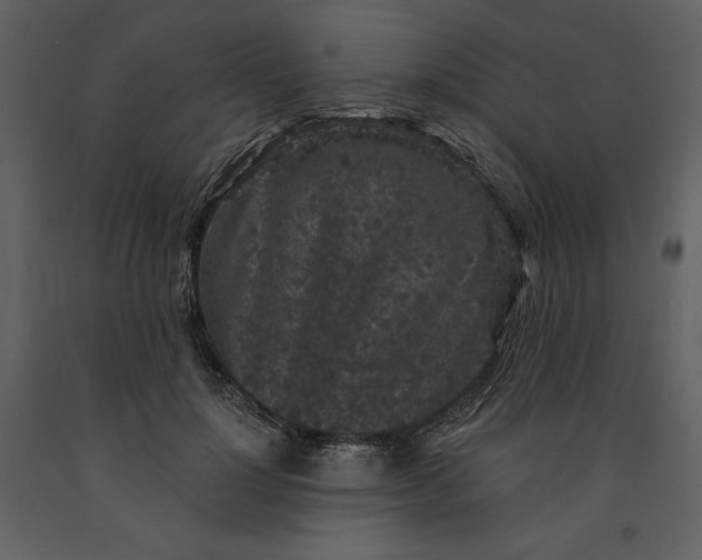 X0000091210748200708231607