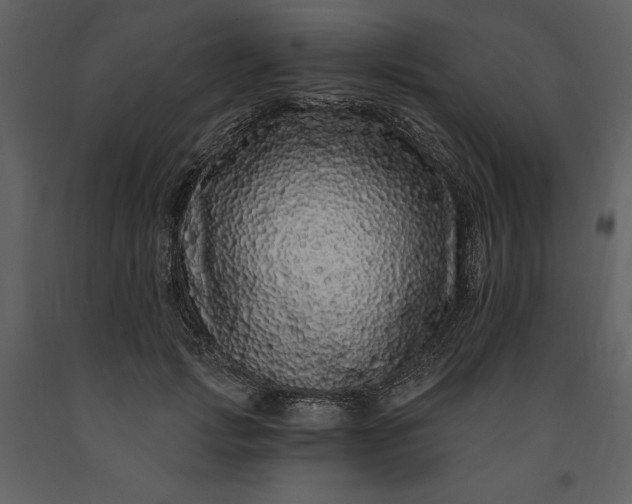 X0000091210749200708231607