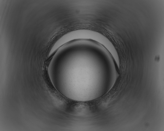 X0000091210750200708231607