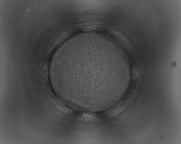 X0000091210753200708231607