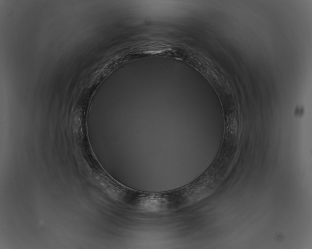 X0000091210754200708231607